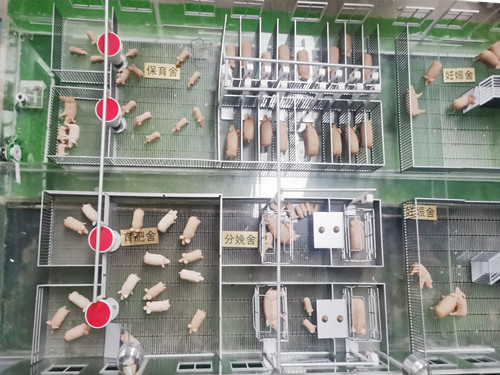 自動化養(yǎng)豬廠展示模型