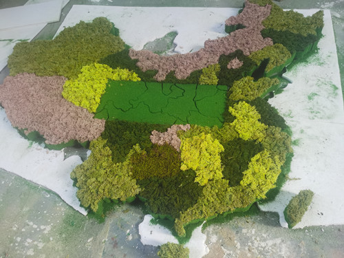 中國(guó)地圖綠植模型